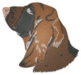 bassett